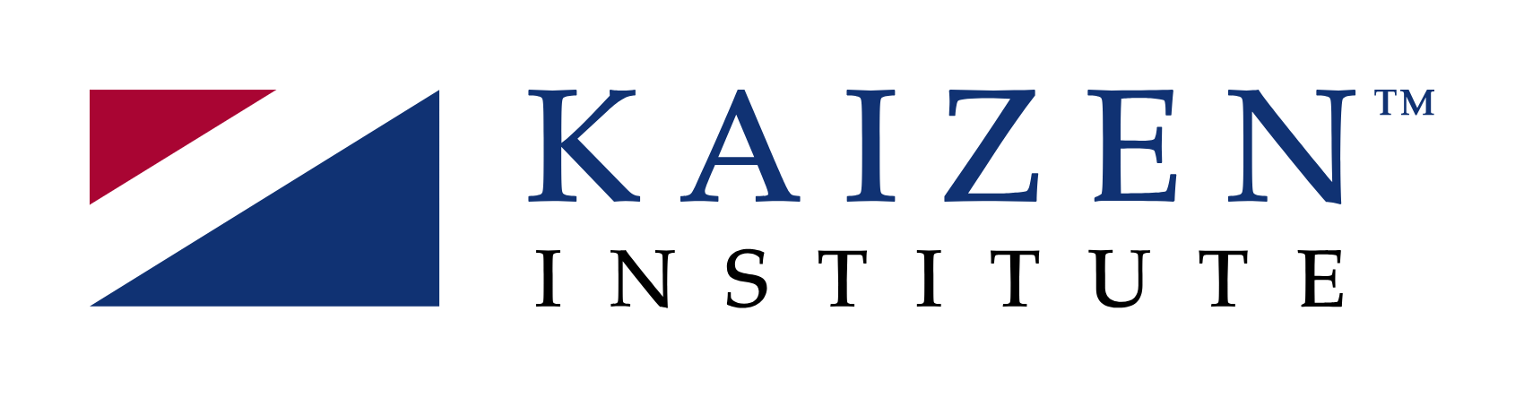 Kaizen Institutes